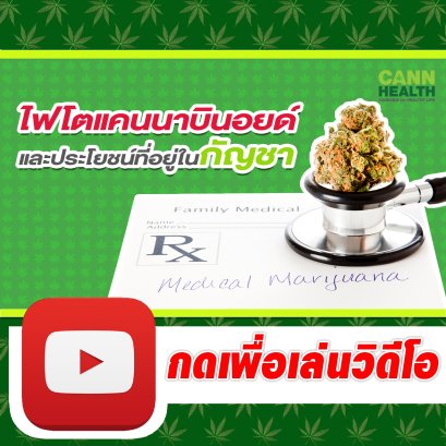 ไฟโตแคนนาบินอยด์ และประโยชน์ที่อยู่ในกัญชา | อ.รสสุคนธ์ ธนธีระบรรจง | รักษาด้วยกัญชา | CANNHEALTH