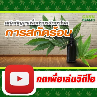 สกัดกัญชาทำยารักษาโรค [สกัดร้อน] | นพ.สมยศ กิตติมั่นคง | เทคนิคการจัดการกัญชา | CANNHEALTH