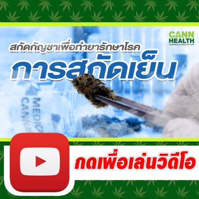 สกัดกัญชาเพื่อทำยารักษาโรค [การสกัดเย็น] | นพ.สมยศ กิตติมั่นคง | เทคนิคการจัดการกัญชา | CANNHEALTH