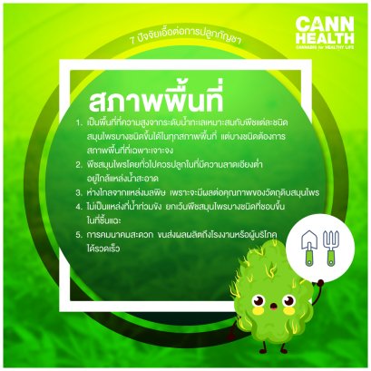 7 ปัจจัยเอื้อต่อการปลูกกัญชา - สภาพพื้นที่