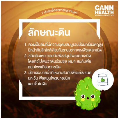 7 ปัจจัยเอื้อต่อการปลูกกัญชา - ลักษณะดิน