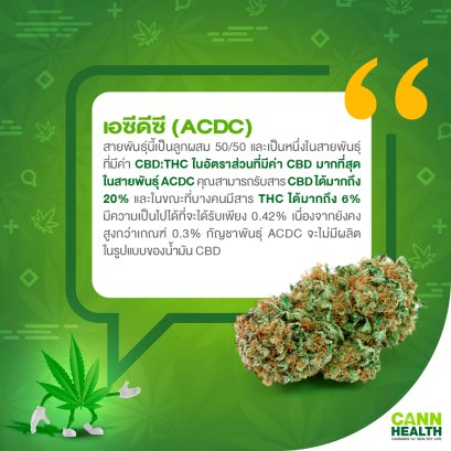 ทำความรู้จักกับกัญชาสายพันธุ์ เอซีดีซี - ACDC  