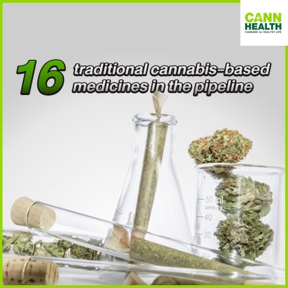 16 traditional cannabis-based medicines in the pipeline