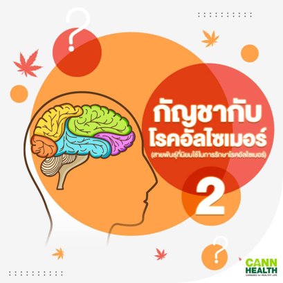 กัญชากับโรคอัลไซเมอร์ 2  (สายพันธุ์ที่นิยมในการรักษาโรคอัลไซเมอร์)