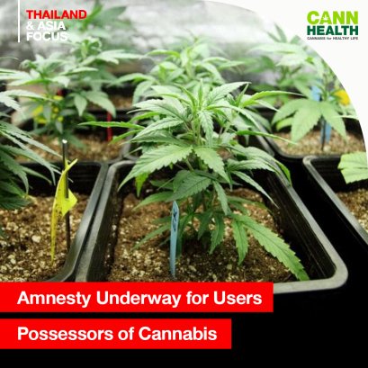 Amnesty Underway for Users, Possessors of Cannabis
