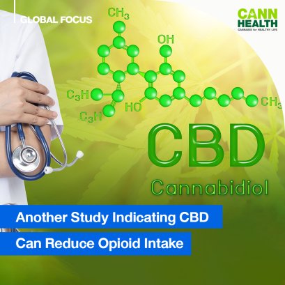 Another Study Indicating CBD Can Reduce Opioid Intake
