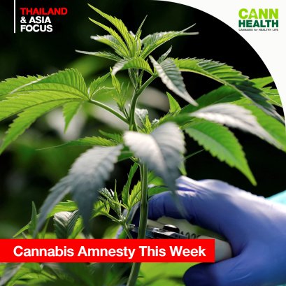 Cannabis Amnesty This Week