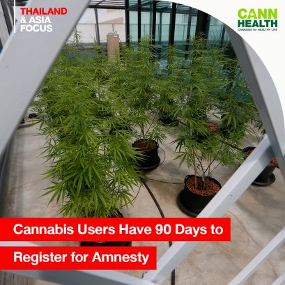 Cannabis Users Have 90 Days to Register for Amnesty