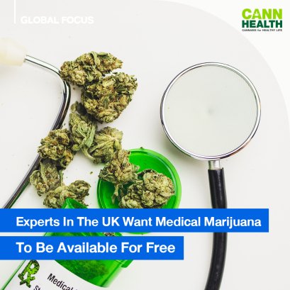 Experts In The UK Want Medical Marijuana To Be Available For Free