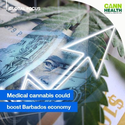 Medical cannabis could boost Barbados economy