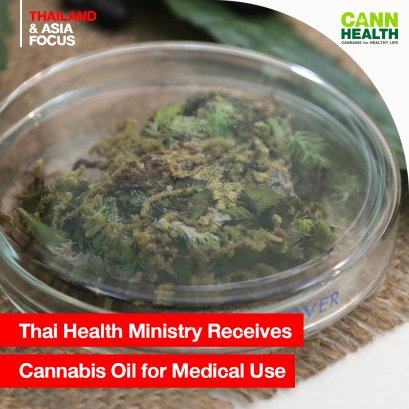 Thai Health Ministry Receives Cannabis Oil for Medical Use
