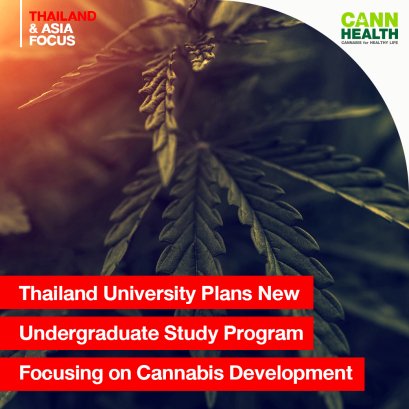 Thailand University Plans New Undergraduate Study Program Focusing on Cannabis Development