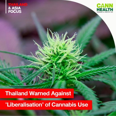 Thailand Warned Against 'Liberalisation' of Cannabis Use