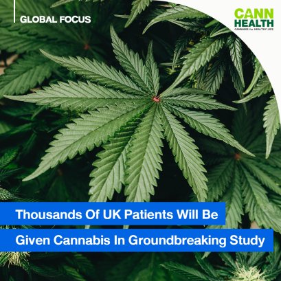 Thousands Of UK Patients Will Be Given Cannabis In Groundbreaking Study