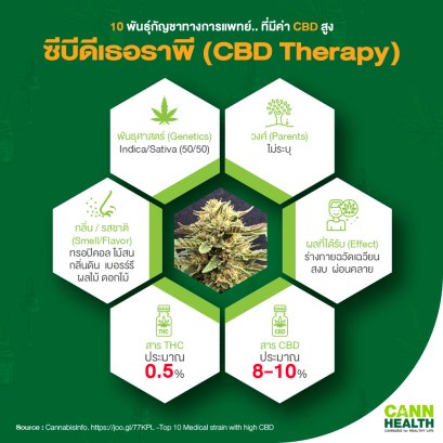 ซีบีดีเธอราพี (CBD Therapy)