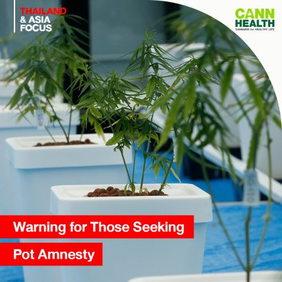 Warning for Those Seeking Pot Amnesty