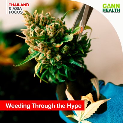 Weeding Through the Hype