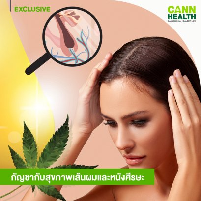 กัญชากับสุขภาพเส้นผมและหนังศีรษะ