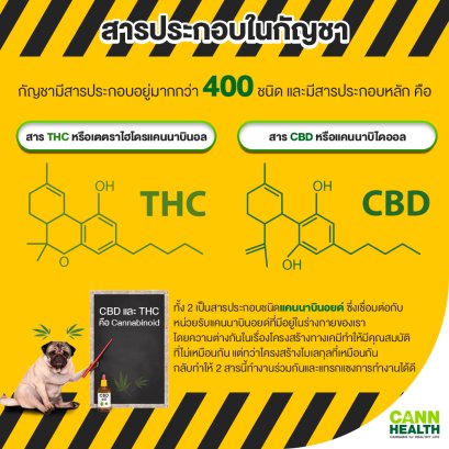 สารประกอบในกัญชา