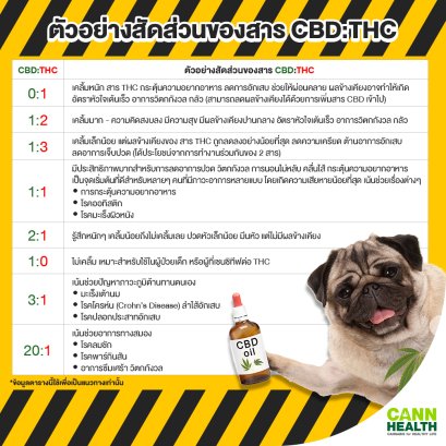 สัดส่วนของสาร CBD:THC กับสาระสำคัญในการใช้