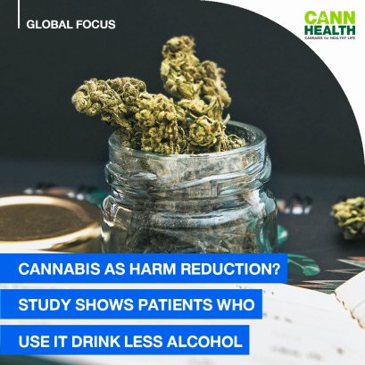 Cannabis As Harm Reduction? Study Shows Patients Who Use It Drink Less Alcohol