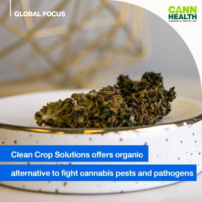 Clean Crop Solutions offers organic alternative to fight cannabis pests and pathogens