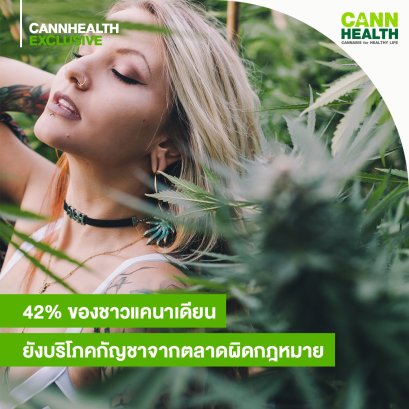 2% ของชาวแคนาเดียนยังบริโภคกัญชาจากตลาดผิดกฎหมาย