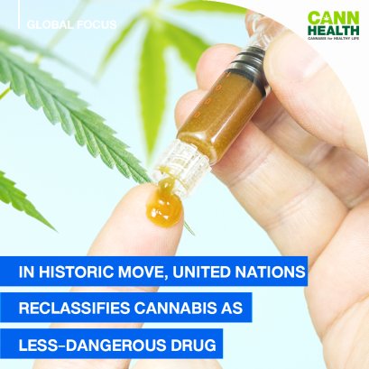 In historic move, United Nations reclassifies cannabis as less-dangerous drug