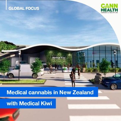 Medical cannabis in New Zealand with Medical Kiwi 