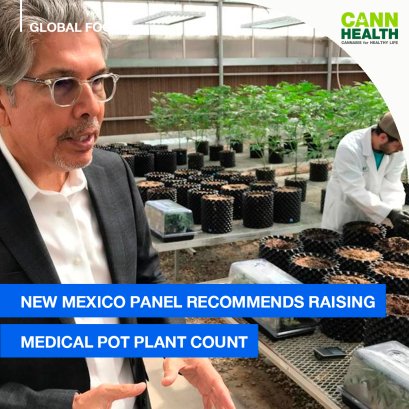 New Mexico Panel Recommends Raising Medical Pot Plant Count