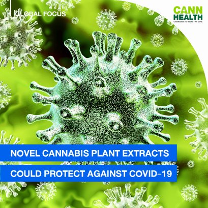 Novel cannabis plant extracts could protect against COVID-19