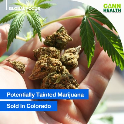 Potentially Tainted Marijuana Sold in Colorado