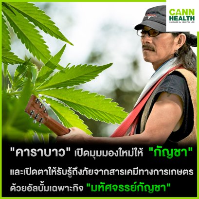 "คาราบาว" เปิดมุมมองใหม่ให้ "กัญชา" และเปิดตาให้รับรู้ถึงภัยจากสารเคมีทางการเกษตร ด้วยอัลบั้มเฉพาะกิจ "มหัศจรรย์กัญชา"