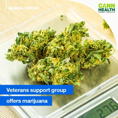 Veterans support group offers marijuana ‘cultivation therapy’