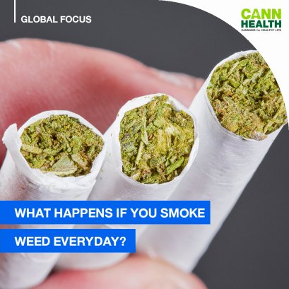 What happens if you smoke weed everyday?