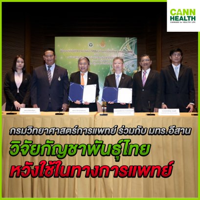 กรมวิทยาศาสตร์การแพทย์ ร่วมกับ มทร.อีสาน วิจัยกัญชาพันธุ์ไทย หวังใช้ในทางการแพทย์