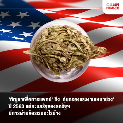 'กัญชาเพื่อการแพทย์' ถึง 'คุ้มครองแรงงานเหมาช่วง' ปี 2563 แต่ละมลรัฐของสหรัฐฯ มีการผ่านข้อริเริ่มอะไรบ้าง