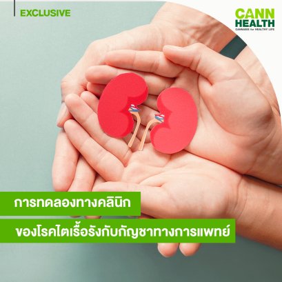 การทดลองทางคลินิกของโรคไตเรื้อรังกับกัญชาทางการแพทย์	