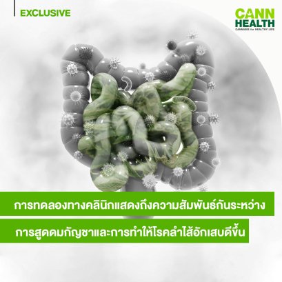 การทดลองทางคลินิกแสดงถึงความสัมพันธ์กันระหว่างการสูดดมกัญชาและการทำให้โรคลำไส้อักเสบดีขึ้น