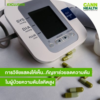 การวิจัยแสดงให้เห็น..กัญชาช่วยลดความดันในผู้ป่วยความดันโลหิตสูง
