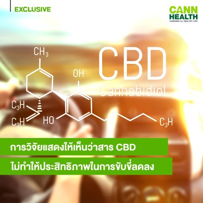 การวิจัยแสดงให้เห็นว่าสาร CBD ไม่ทำให้ประสิทธิภาพในการขับขี่ลดลง