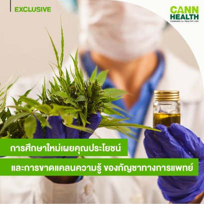 การศึกษาใหม่เผยคุณประโยชน์ และการขาดแคลนความรู้ ของกัญชาทางการแพทย์