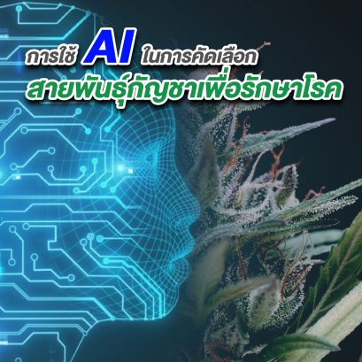 การใช้ AI ในการคัดเลือกสายพันธุ์กัญชาเพื่อรักษาโรค