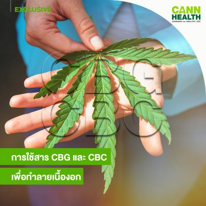 การใช้สาร CBG และ CBC เพื่อทำลายเนื้องอก