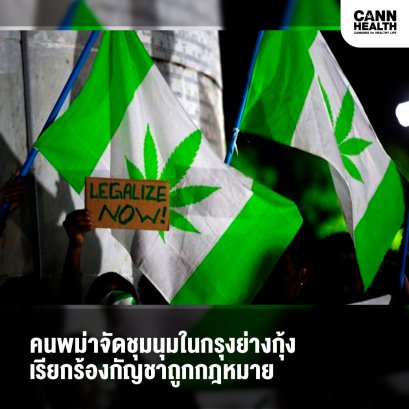 คนพม่าจัดชุมนุมในกรุงย่างกุ้งเรียกร้องกัญชาถูกกฎหมาย