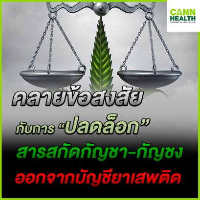 คลายข้อสงสัยกับการปลดล็อกสารสกัดกัญชา-กัญชง ออกจากบัญชียาเสพติด