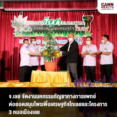 จ.เลย จัดงานมหกรรมกัญชาทางการแพทย์ ต่อยอดสมุนไพรเพื่อเศรษฐกิจไทเลยและโครงการ 3 หมอเมืองเลย