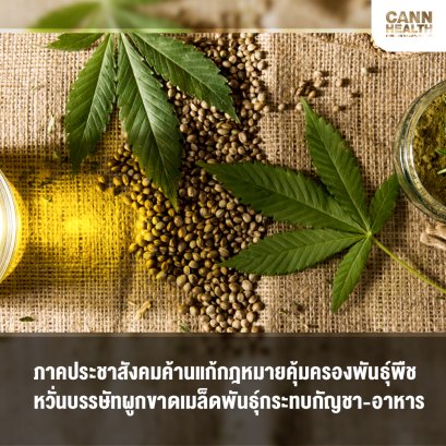 ภาคประชาสังคมค้านแก้กฎหมายคุ้มครองพันธุ์พืช หวั่นบรรษัทผูกขาดเมล็ดพันธุ์กระทบกัญชา-อาหาร