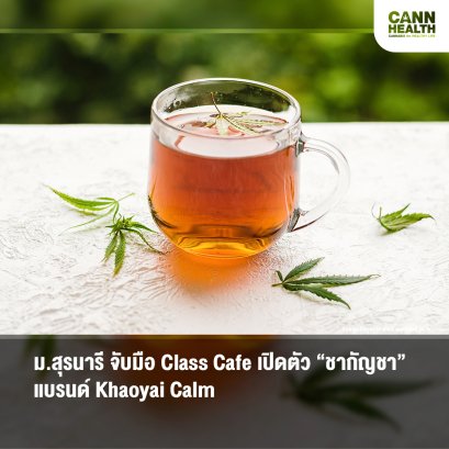 ม.สุรนารีจับมือ Class Cafe เปิดตัว “ชากัญชา” แบรนด์ Khaoyai Calm