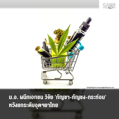ม.อ. ผนึกเอกชน วิจัย 'กัญชา-กัญชง-กระท่อม' หวังยกระดับอุตฯยาไทย